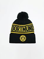  Borussia Dortmund   