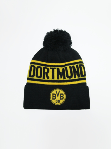  Borussia Dortmund   