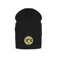  Borussia Dortmund 