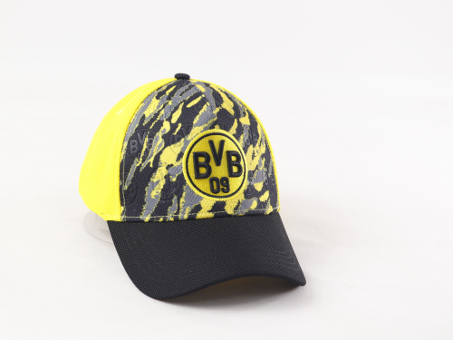  Borussia Dortmund /