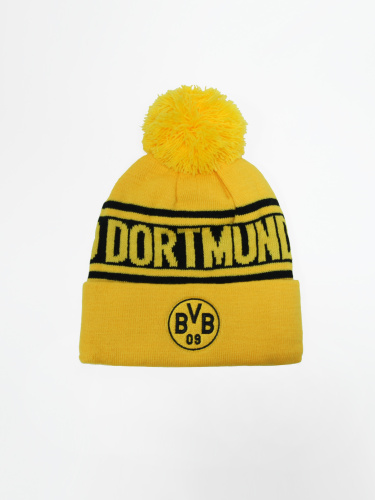  Borussia Dortmund   