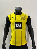  Borussia Dortmund 24/25 
