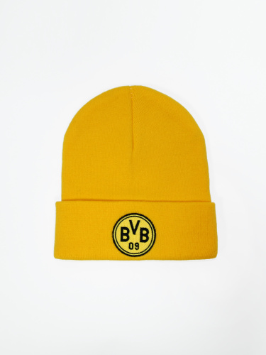  Borussia Dortmund 