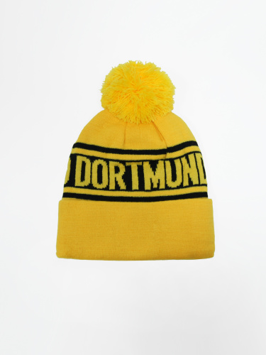  Borussia Dortmund     2